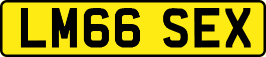LM66SEX