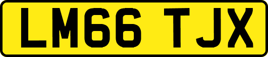 LM66TJX