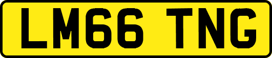 LM66TNG