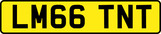 LM66TNT