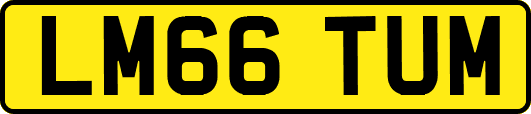 LM66TUM