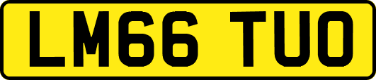 LM66TUO