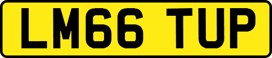 LM66TUP