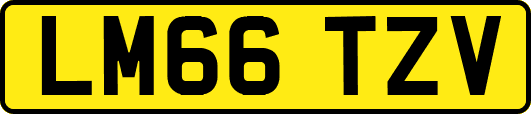 LM66TZV