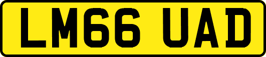 LM66UAD