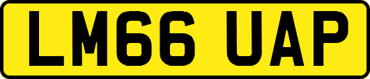 LM66UAP