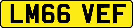 LM66VEF