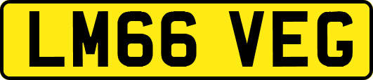LM66VEG