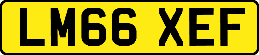 LM66XEF