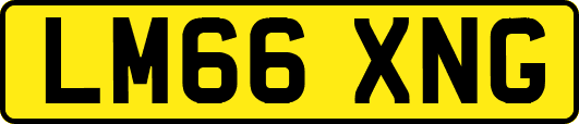 LM66XNG