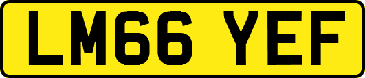 LM66YEF