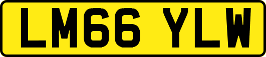 LM66YLW