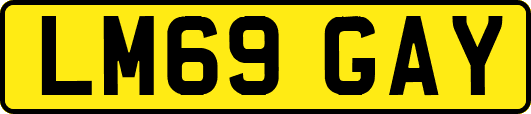 LM69GAY