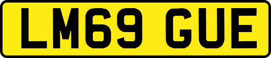 LM69GUE