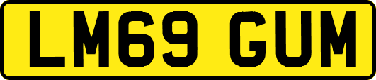 LM69GUM