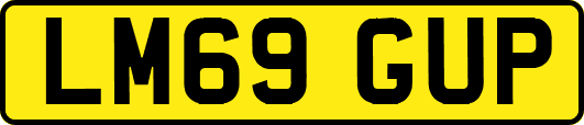 LM69GUP