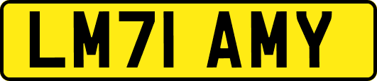 LM71AMY