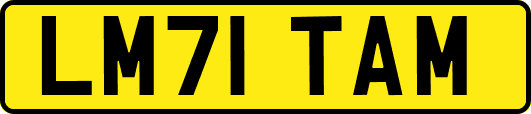 LM71TAM