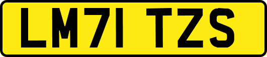 LM71TZS