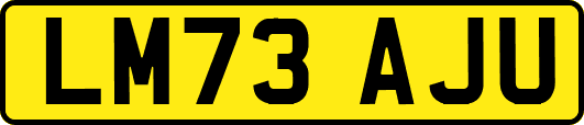 LM73AJU