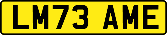 LM73AME