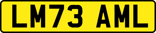 LM73AML