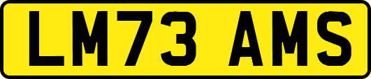 LM73AMS