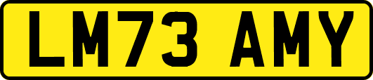 LM73AMY