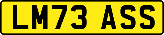 LM73ASS