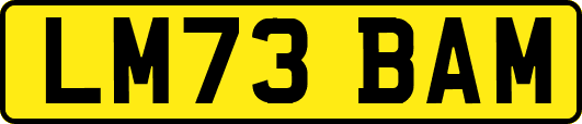 LM73BAM
