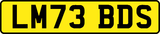 LM73BDS