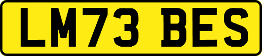 LM73BES