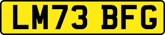 LM73BFG