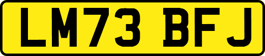 LM73BFJ