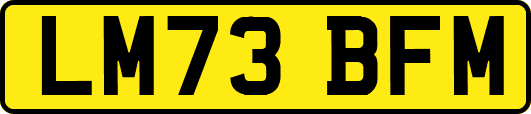 LM73BFM
