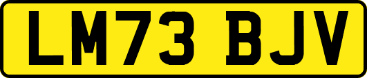 LM73BJV
