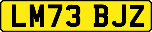 LM73BJZ