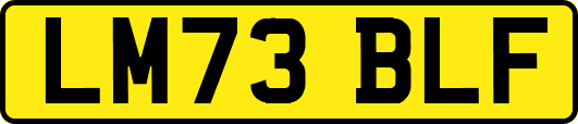 LM73BLF
