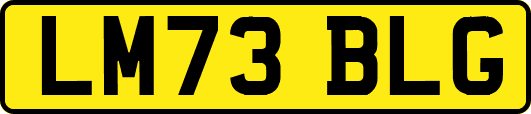 LM73BLG