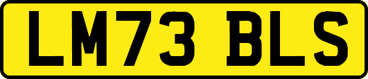 LM73BLS