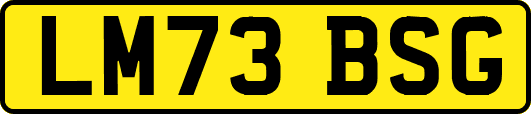 LM73BSG