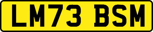 LM73BSM