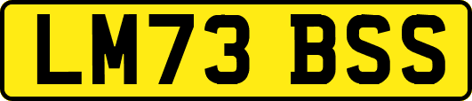 LM73BSS