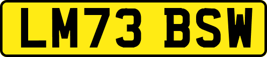 LM73BSW