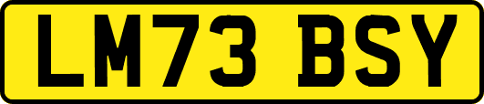 LM73BSY