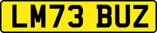 LM73BUZ