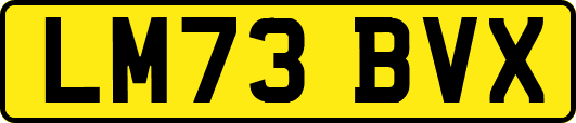 LM73BVX