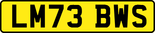 LM73BWS