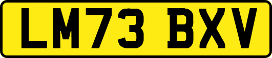 LM73BXV