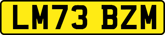 LM73BZM